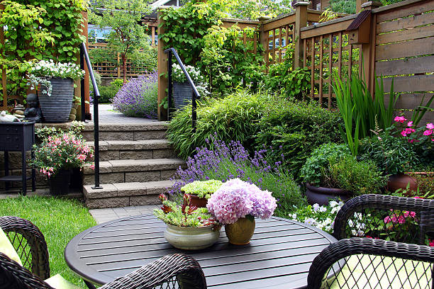 Patio Lawn & Garden